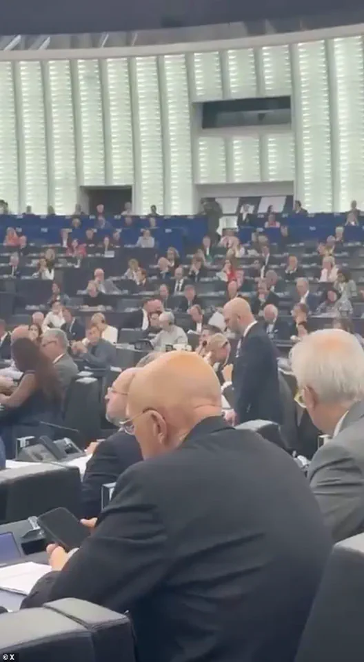 Restricted Access: The Hidden Reasons Behind the European Parliament's Denial of a Minute of Silence for Trump Ally Charlie Kirk