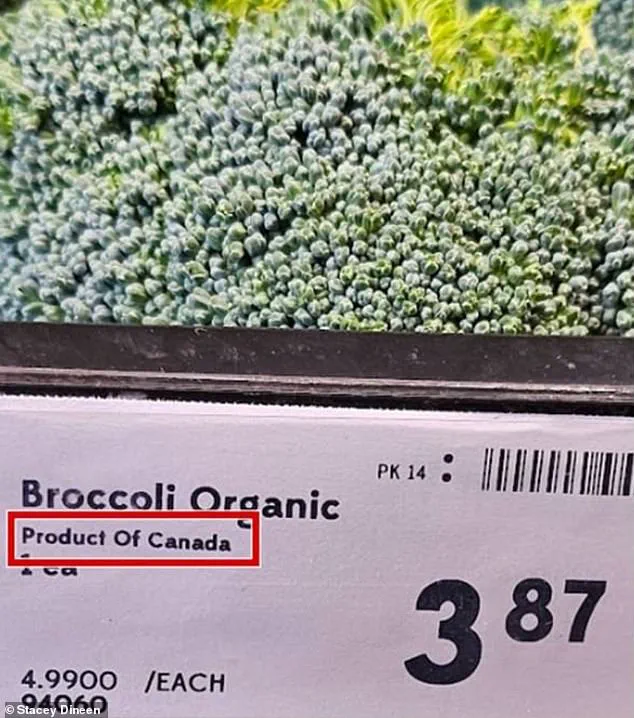 Exclusive Investigation Reveals Canadian Supermarkets Mislabeling U.S. Produce as Canadian Imports