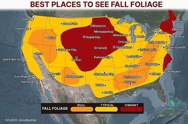 Uneven Autumn: Why Some Regions Miss Out on Fall's Fiery Display
