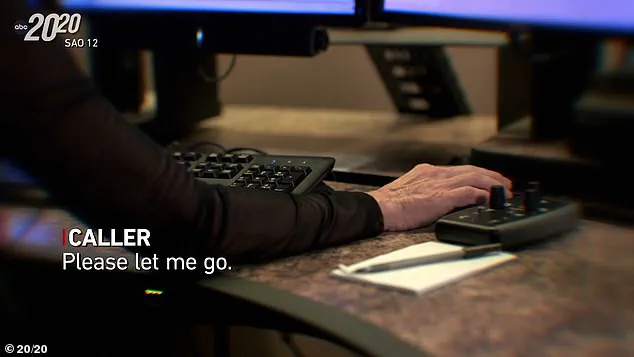 Denise Amber Lee's Disappearance: A 2008 Mystery in Florida