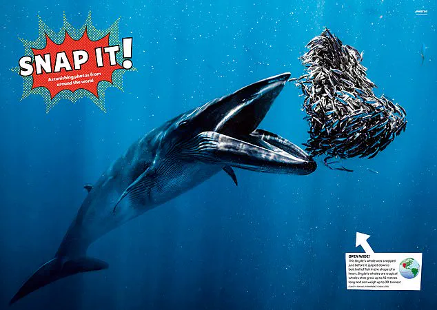 Digital Age Dilemma: The Decline of Childhood Literacy and Its Impact on Communities