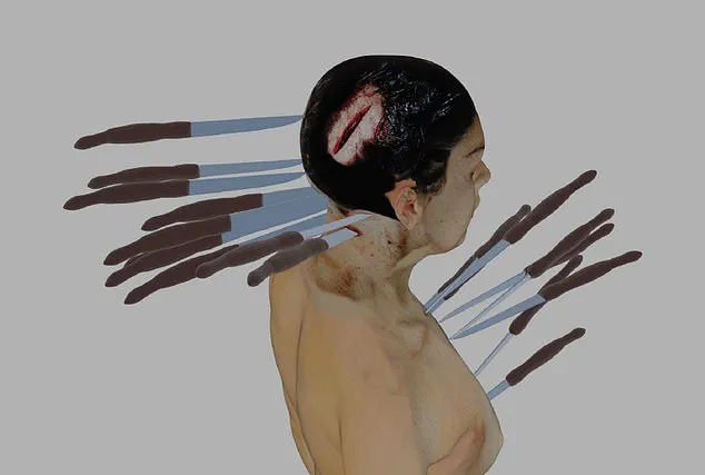 Family Challenges 14-Year Streak of Suicide Rulings in Ellen Greenberg Case, Spotlighting Systemic Forensic Failures