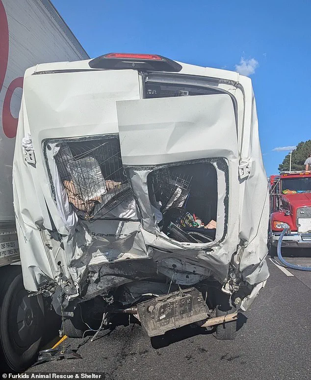 Deadly Six-Vehicle Pileup on Georgia’s Interstate 85 Claims Eight Lives, Marking One of State’s Deadliest Crashes This Year