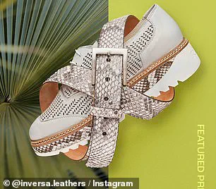 Florida Governor DeSantis' Unconventional Python Control Plan: Partnering with Fashion Industry to Protect Everglades Ecosystem