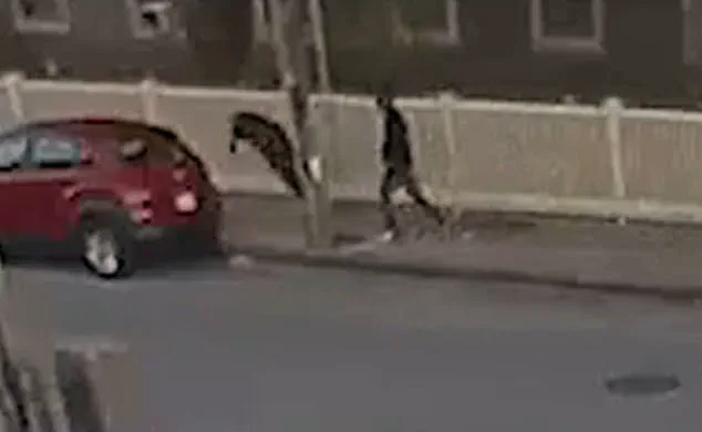 Former Massachusetts Mayor Will Flanagan Stabbed in Neck Outside Cannabis Dispensary in Fall River as Community Raises Questions About Public Safety and Suspect's Motives