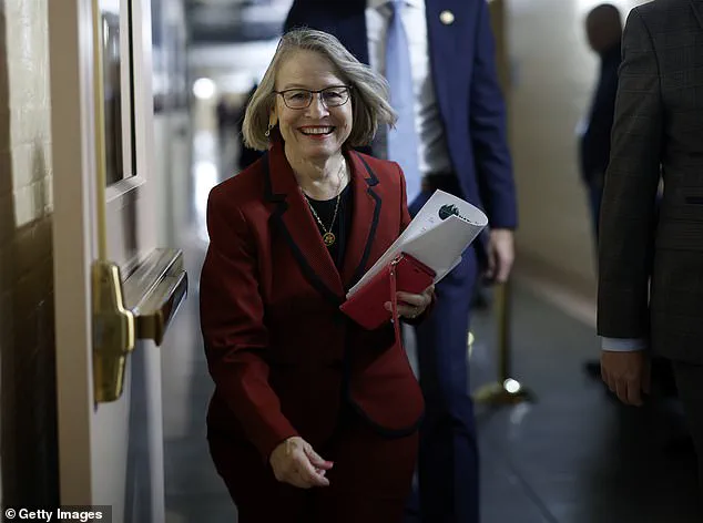 Christina Bohannan's Campaign Highlights Working-Class Roots and Professional Background in Iowa Race