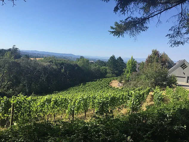 Bohemian Sebastopol Faces Unusual Controversy