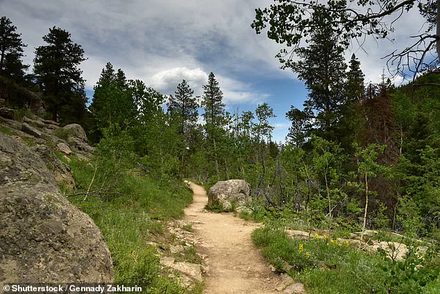 Mountain Lion Attack in Colorado Leads to Discovery of Woman’s Body, Authorities Investigate