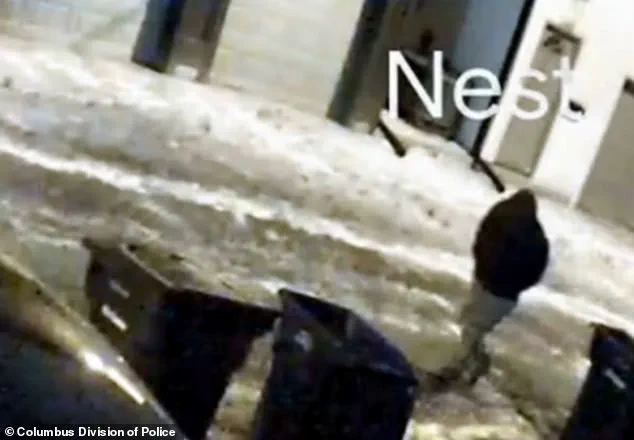 Exclusive: Detectives' Privileged Access to Tepe Murder Case Uncovers No Forced Entry