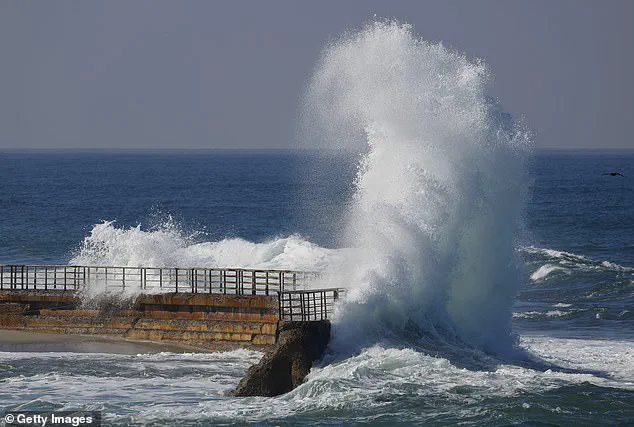 Tourists Harm Fragile Marine Life During La Jolla King Tides