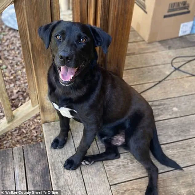 Tragic Death of Johnathan 'John John' Boley: Community Mourns as Coroner Reveals Hypothermia as Cause