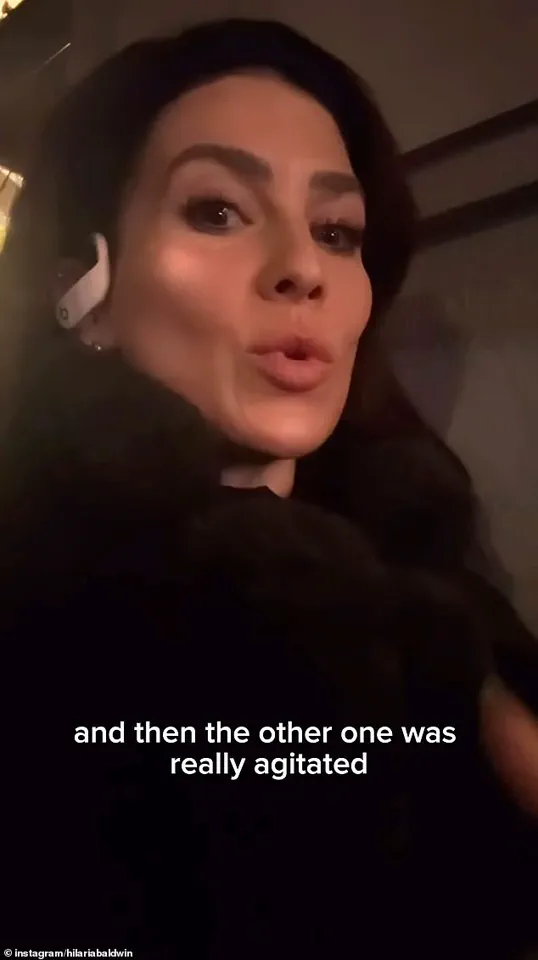 Hilaria Baldwin's Tense Subway Encounter with NYPD Sparks Urgent Debate Over Language Barriers in Policing