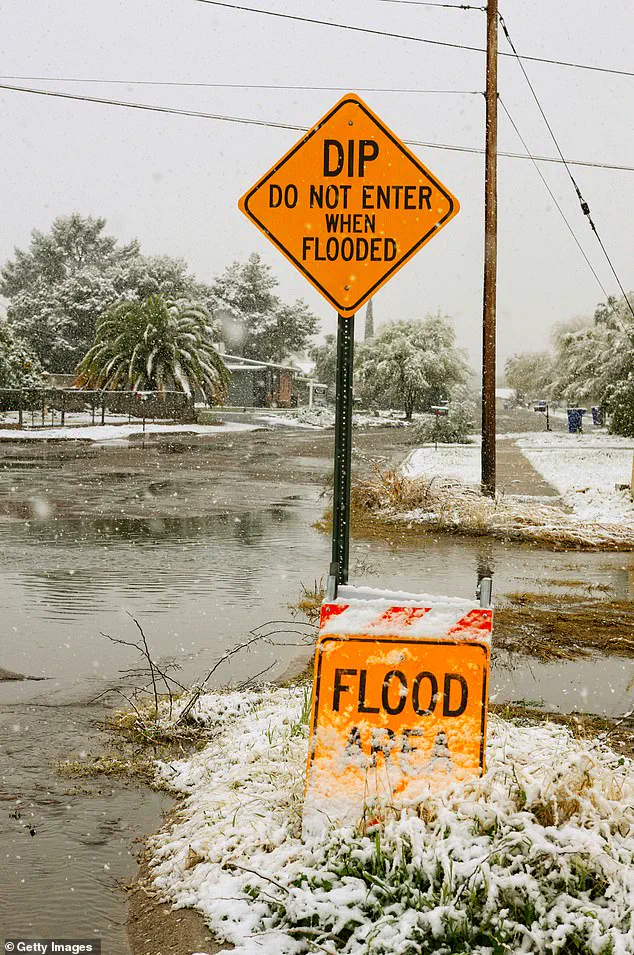 Arizona's Unusual Road Rules: Navigating the Hidden Dangers of the Southwest