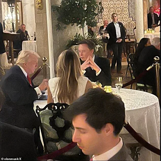 Trump's Potential Putin Talks Amid Criticisms of Foreign Policy and Rising Community Risks