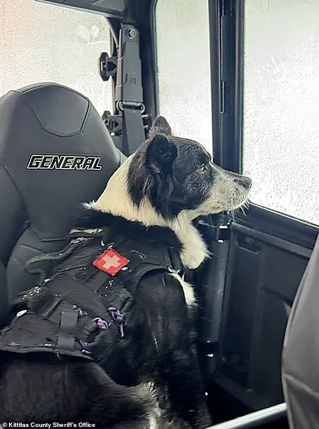 Tragic Avalanche Claims Two Lives in Washington State's Backcountry, Serving as Urgent Reminder of Remote Terrain Dangers