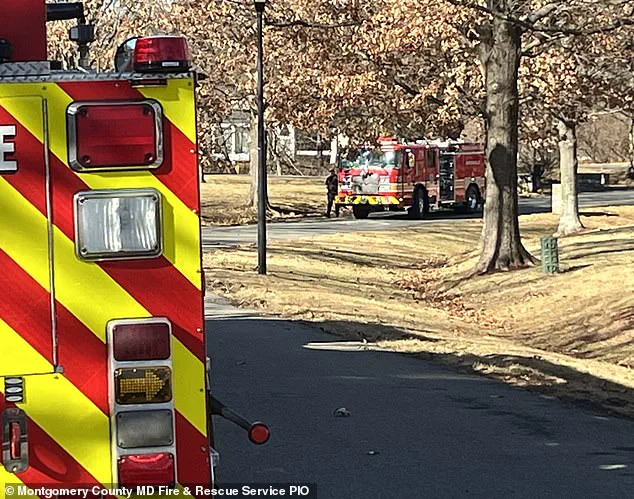 Chicken Coop Heat Lamp Sparks Devastating Fire, Destroying $1 Million Maryland Mansion