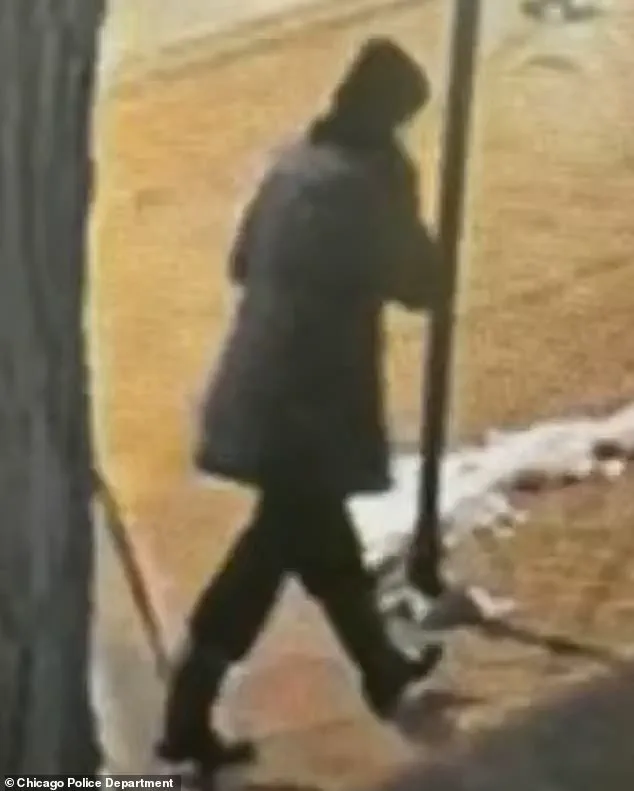 Expert Advisories Highlight Gaps in Public Safety and Mental Health Support After Teacher's Disappearance