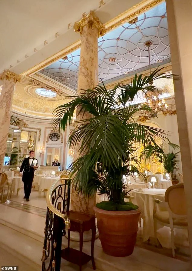 Ritz London Launches Internal Investigation After Mouse Incident Disrupts Afternoon Tea Service