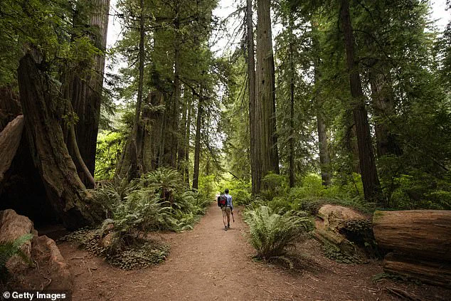 California Defies Trump's Directive, Offers Free State Park Entry as Federal Fees Return on MLK Day