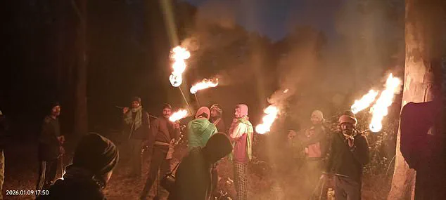 As Elephant Rampages, Villagers Describe 'Landscape Transformed by Dread' in Jharkhand