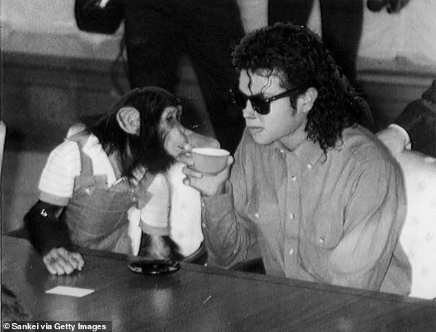 Behind Closed Doors: The Hidden Retirement of Michael Jackson's Former Sidekick, Bubbles the Chimpanzee