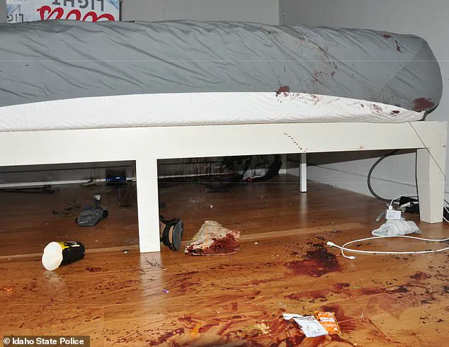 Exclusive: Newly Released Crime Scene Photos from Idaho Murders Reveal Harrowing Details of November 2022 Killings