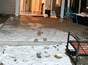 Privileged Access to Graphic Crime Scene Photos Removed Amid Controversy Over Transparency in Idaho Murders Case