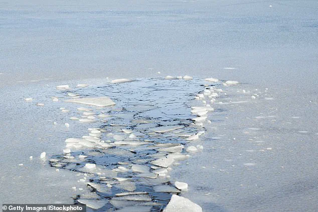 Tragic UTV Crash in Michigan Claims Lives of Child and Grandfather, Sparks Community Outcry and Investigation