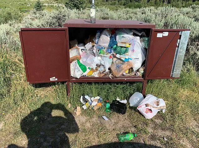 How New Regulations Are Reshaping Access to Delta Lake in Grand Teton National Park