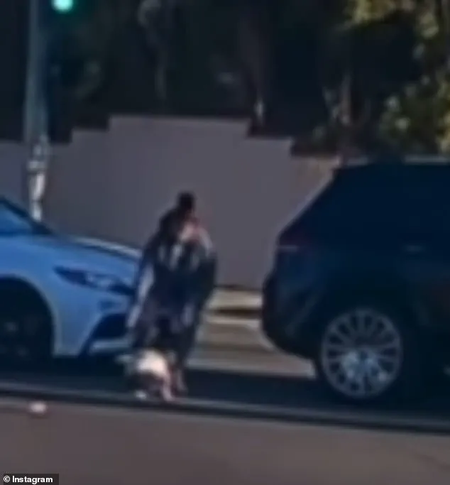 19-Month-Old Toddler Falls From Moving Car in Fullerton; Viral Video Sparks Child Safety Concerns