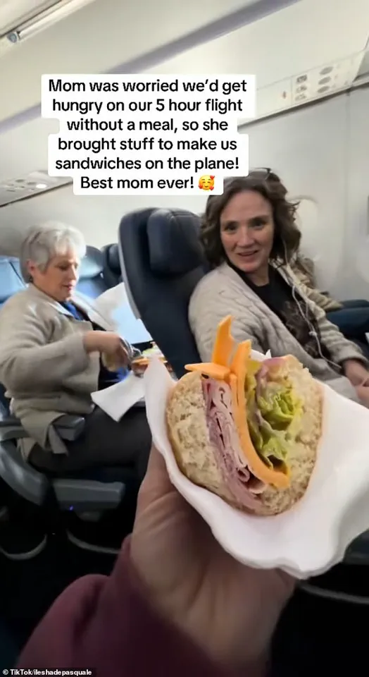 Grandmother Turns Flight Tray Table into Make-Shift Deli, Leaving Passengers in Disbelief
