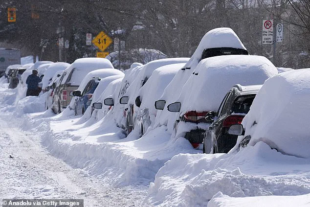 Toronto Mayor's Viral Misstatement During Historic Snowstorm Press Conference