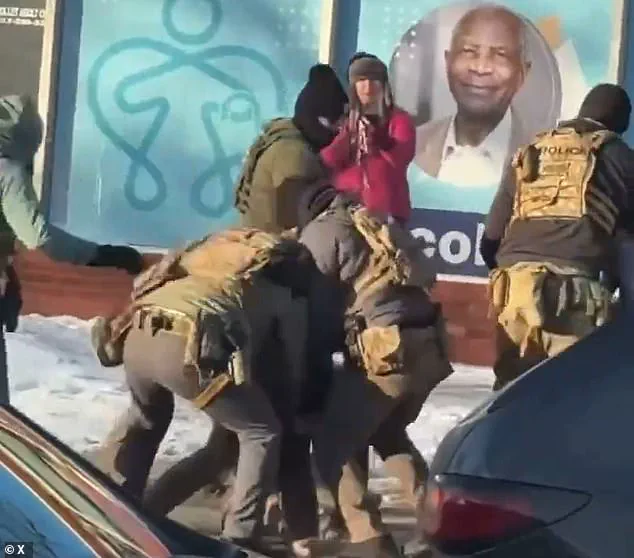 Stella Carlson, 'Pink Coat Lady,' Says Federal Agents Haven't Contacted Her About Alex Pretti Shooting