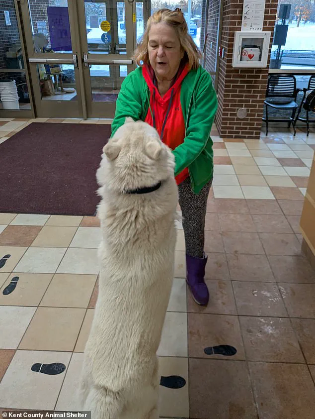 Tech-Driven Reunion: How Innovation Helped Reunite a Lost Puppy with His Owner