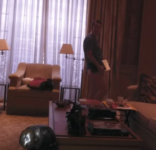 Forensic Analysis Links Peter Mandelson to Jeffrey Epstein's Paris Apartment in Previously Unseen Photo