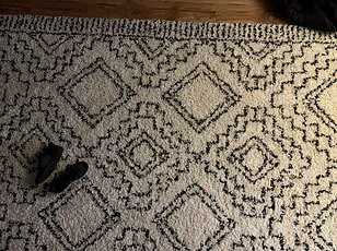 Viral Reddit Puzzle Challenges Netizens to Spot Elusive Orange Cat in Snowy Backyard