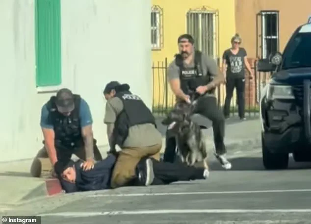 Viral Video Misinterpreted as ICE Raid, But 17-Year-Old Suspect in Jewelry Heist and Carjacking Spree