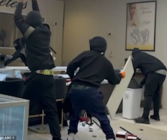 Viral Video Misinterpreted as ICE Raid, But 17-Year-Old Suspect in Jewelry Heist and Carjacking Spree