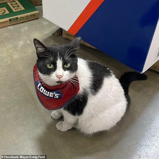 Beloved 'Mama Cat' Removed from Lowe's Store in Alabama, Sparking Community Outcry