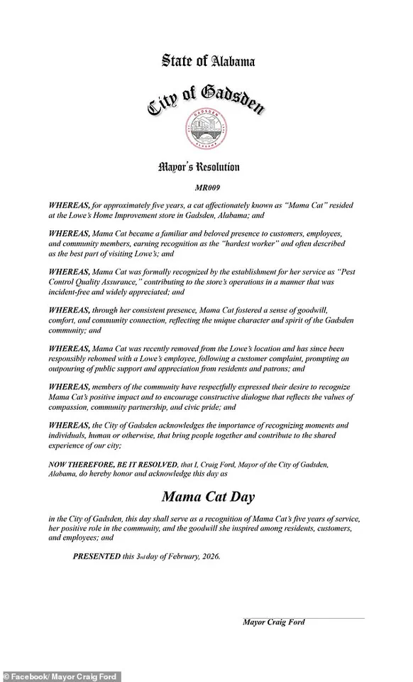 Beloved 'Mama Cat' Removed from Lowe's Store in Alabama, Sparking Community Outcry