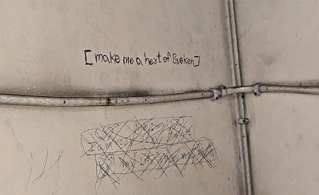 Tragic Deaths of Three Sisters After Jumping from Ninth-Floor Balcony in Ghaziabad, India