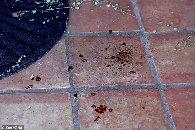 Ransom Claim Emerges in Ongoing Search for Missing Nancy Guthrie as Investigation Stalls