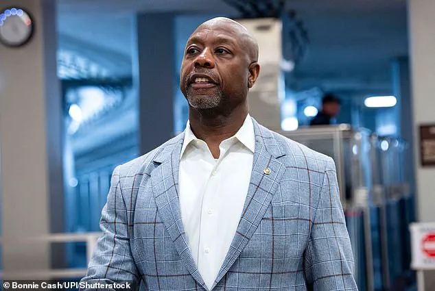 Trump Refuses to Apologize for Offensive Video Depicting Obamas as Apes Amid Political Firestorm