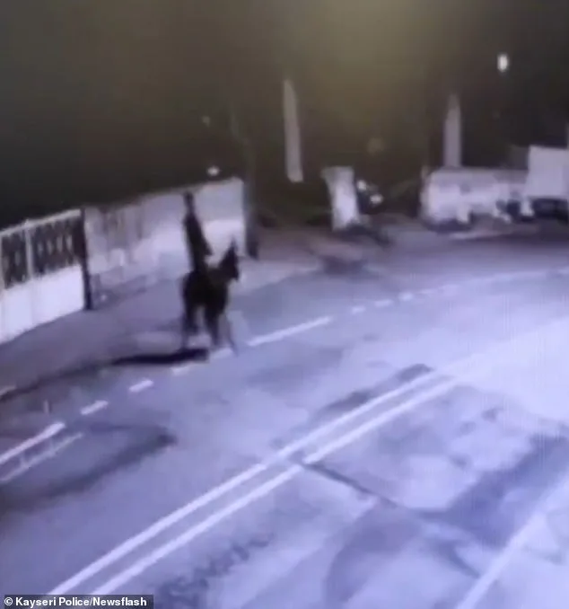 Bizarre Theft in Kayseri: Forklift and Donkey Used in Jewelry Heist