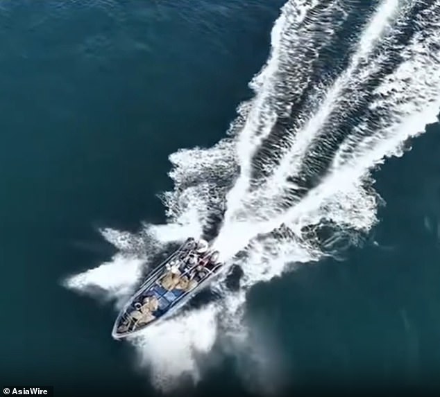 Bryde's Whale Collision Near Weizhou Island Sparks Debate Over Tourism, Fishing, and Conservation