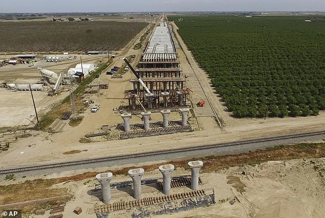 California High-Speed Rail CEO Arrested in Domestic Disturbance Amid Project Milestone