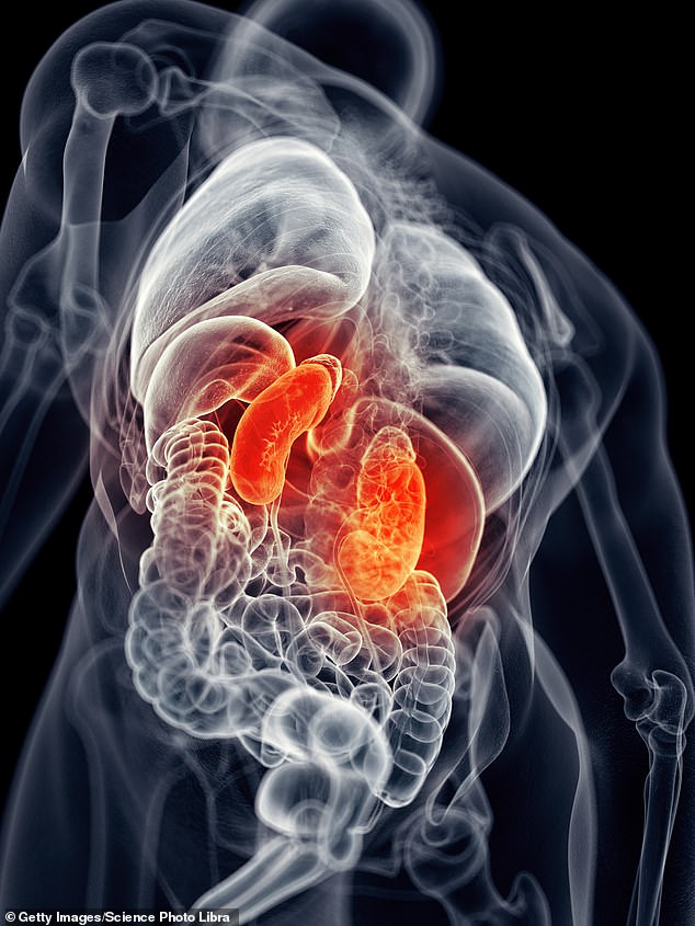 Covid-19 Survivors Face 54% Higher Risk of Kidney Disease, Study Warns