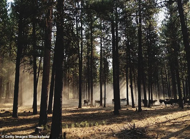 Oregon Faces Historic Showdown Over Hunting and Fishing Rights as Ballot Initiative Nears Deadline