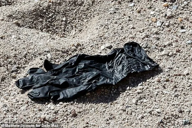 Setback in Nancy Guthrie Case as FBI Confirms Glove Found Near Home Doesn't Match DNA