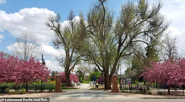 Shattered Serenity: Aviation Park's Homelessness Crisis